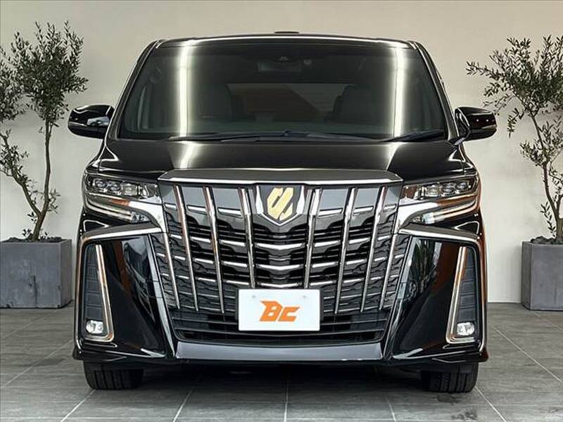 2021 TOYOTA ALPHARD for sale - photo 10
