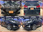 2016 TOYOTA ALPHARD
