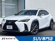 2019 LEXUS UX
