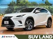 2018 LEXUS NX