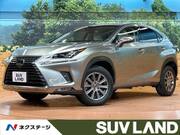 2018 LEXUS NX