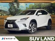 2019 LEXUS NX