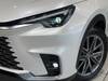 LEXUS OTHER
