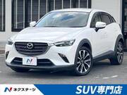 2019 MAZDA CX-3