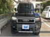 TOYOTA LANDCRUISER 250