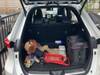 TOYOTA HARRIER HYBRID