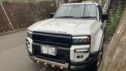 2024 TOYOTA LANDCRUISER 250
