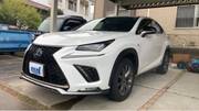 2019 LEXUS NX