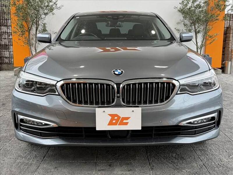2018 BMW 5 SERIES for sale - photo 10