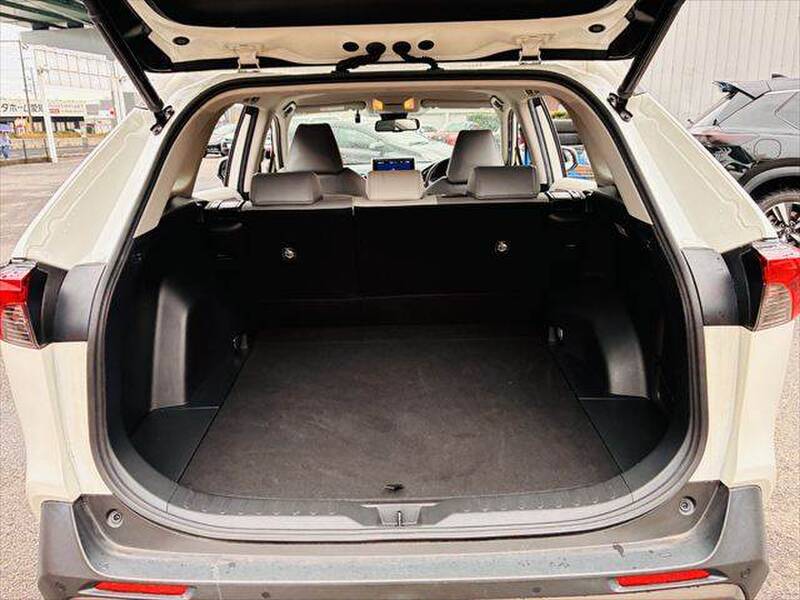 2020 TOYOTA RAV4 for sale - photo 11