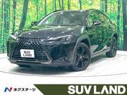 2020 LEXUS UX