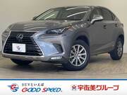2018 LEXUS NX