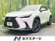 2023 LEXUS NX