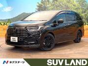 2025 HONDA OTHER