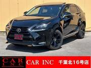 2017 LEXUS NX