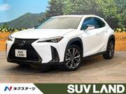 2020 LEXUS UX