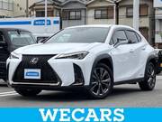 2019 LEXUS UX