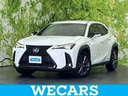 2019 LEXUS UX