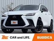 2024 LEXUS NX