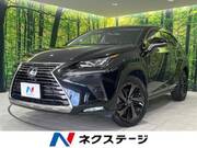2018 LEXUS NX