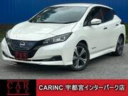 2022 NISSAN LEAF
