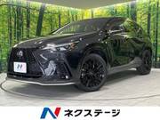 2023 LEXUS NX