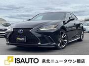 2020 LEXUS ES