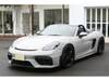 PORSCHE OTHER