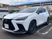 2025 LEXUS NX
