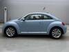 VOLKSWAGEN THE BEETLE
