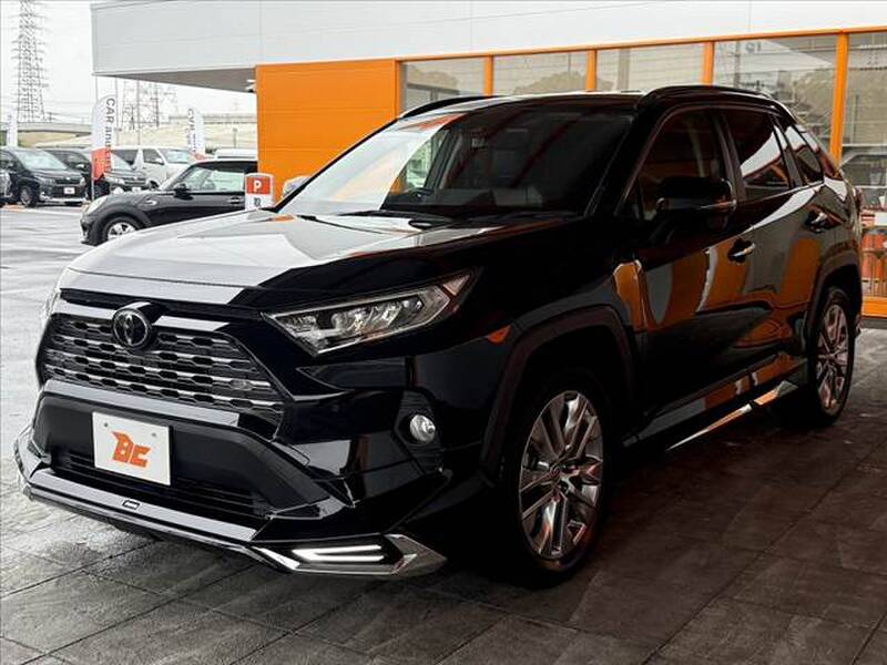 2019 TOYOTA RAV4 for sale - photo 11