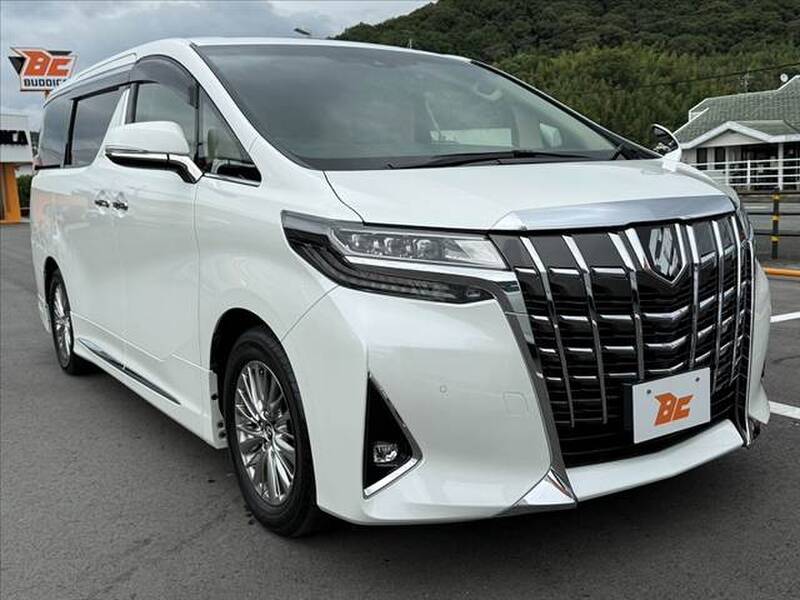2018 TOYOTA ALPHARD for sale - photo 11