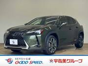 2019 LEXUS UX
