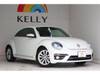VOLKSWAGEN THE BEETLE