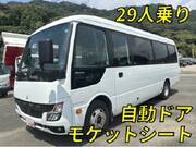 2020 FUSO ROSA