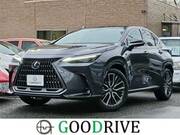 2025 LEXUS NX