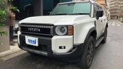 2024 TOYOTA LANDCRUISER 250