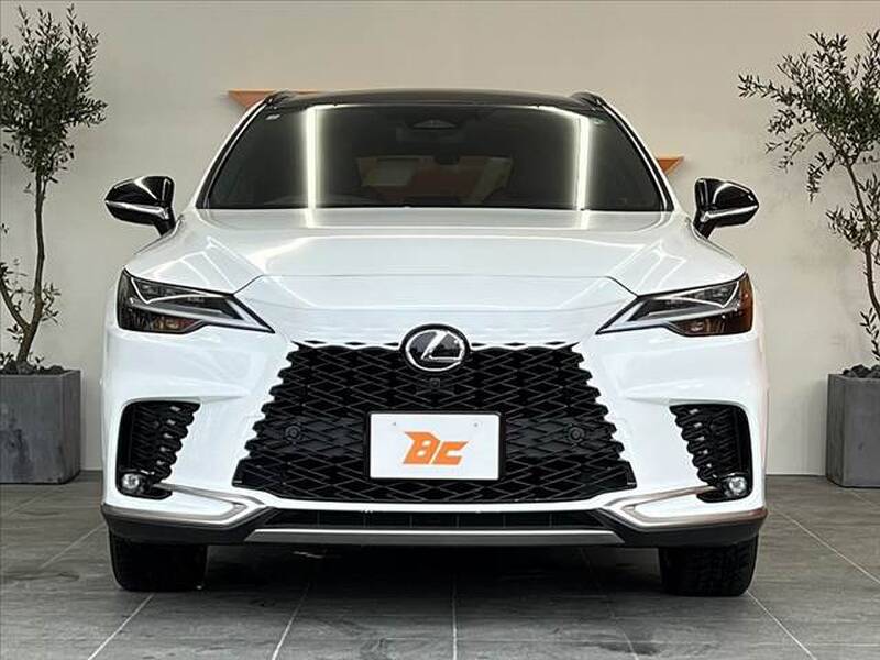 2025 LEXUS RX for sale - photo 10