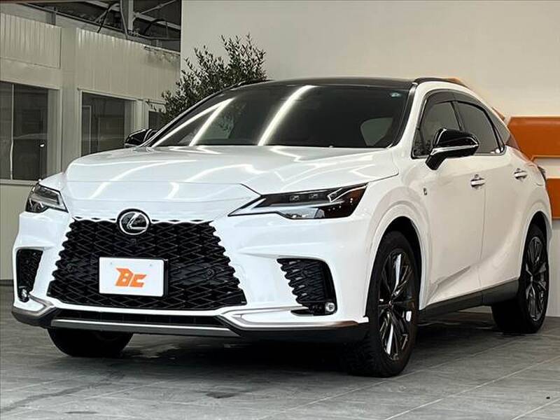 2025 LEXUS RX for sale - photo 11