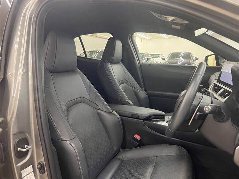 2024 LEXUS UX for sale - more photos