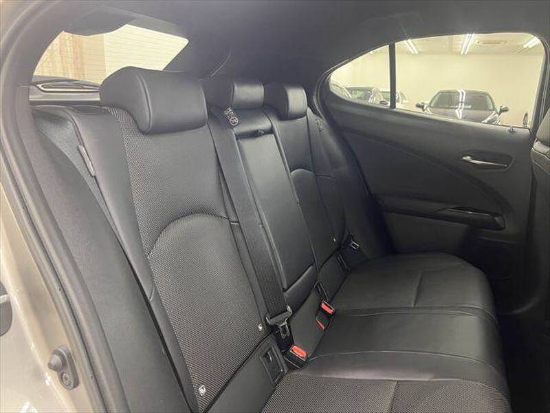 2024 LEXUS UX for sale - photo 9