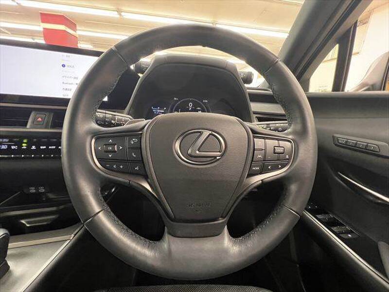 2024 LEXUS UX for sale - photo 11