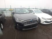 2019 TOYOTA RAV4 HYBRID G