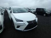2019 LEXUS NX