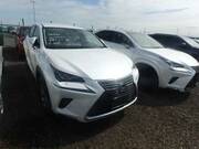 2019 LEXUS NX