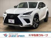 2019 LEXUS NX