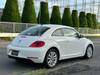 VOLKSWAGEN THE BEETLE