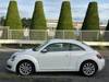 VOLKSWAGEN THE BEETLE