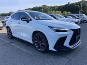 2025 LEXUS NX
