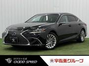 2019 LEXUS ES